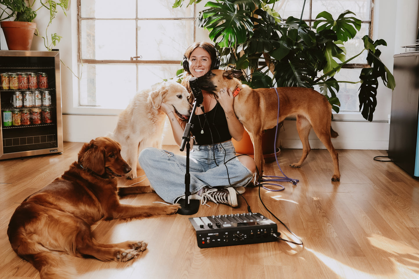 Virtual Shadow Program