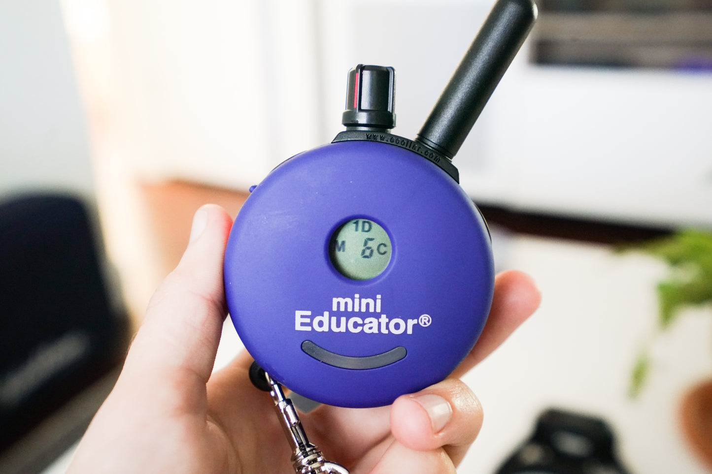 ET-300 Mini Educator Ecollar