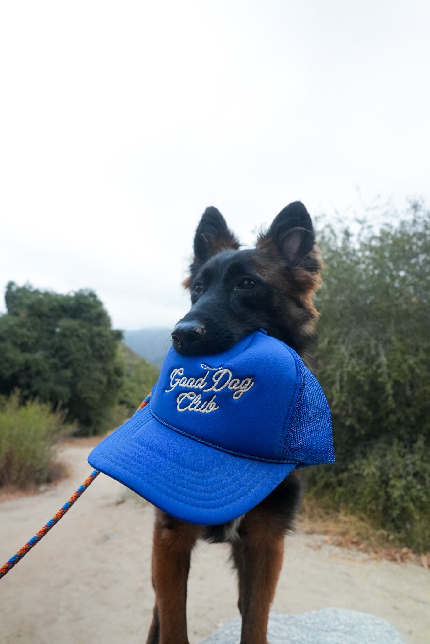 The Good Dog Club Trucker Hat