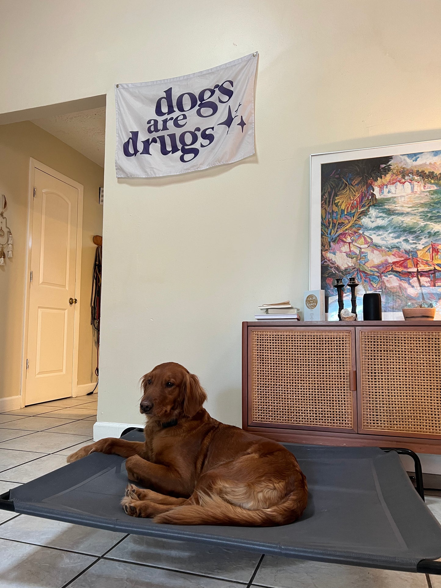 "Dog Are Drugs" Flag