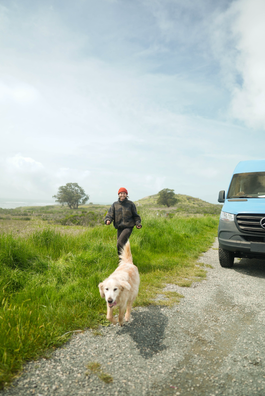 Adventure Board and Train