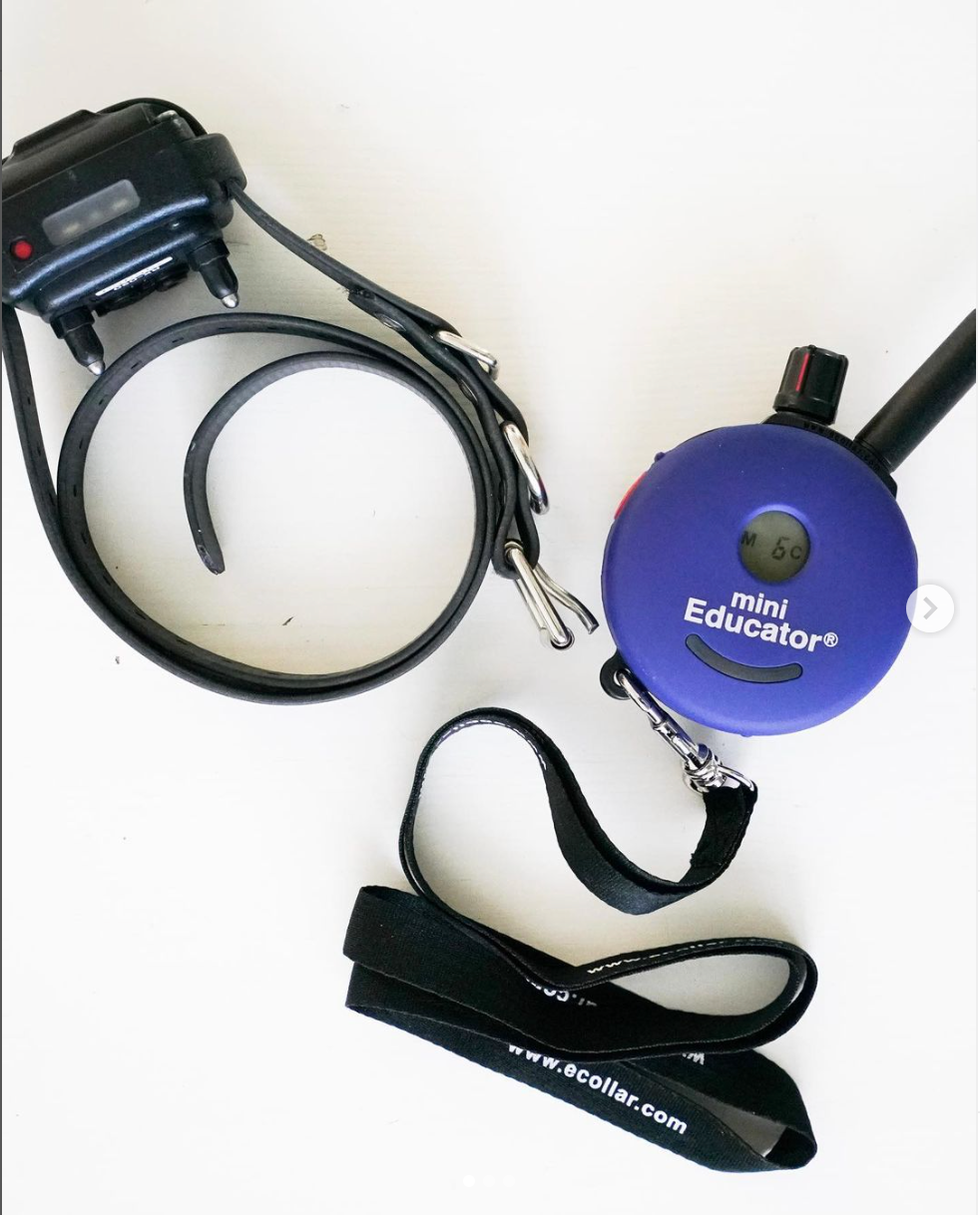 ET-300 Mini Educator Ecollar