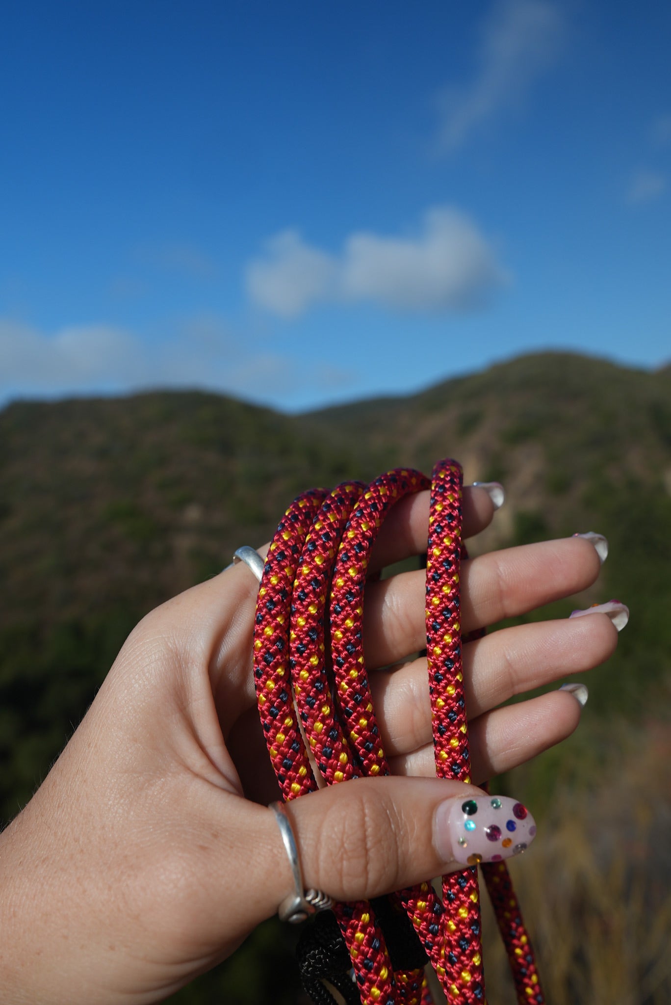 The Everyday Slip Lead 10 Foot