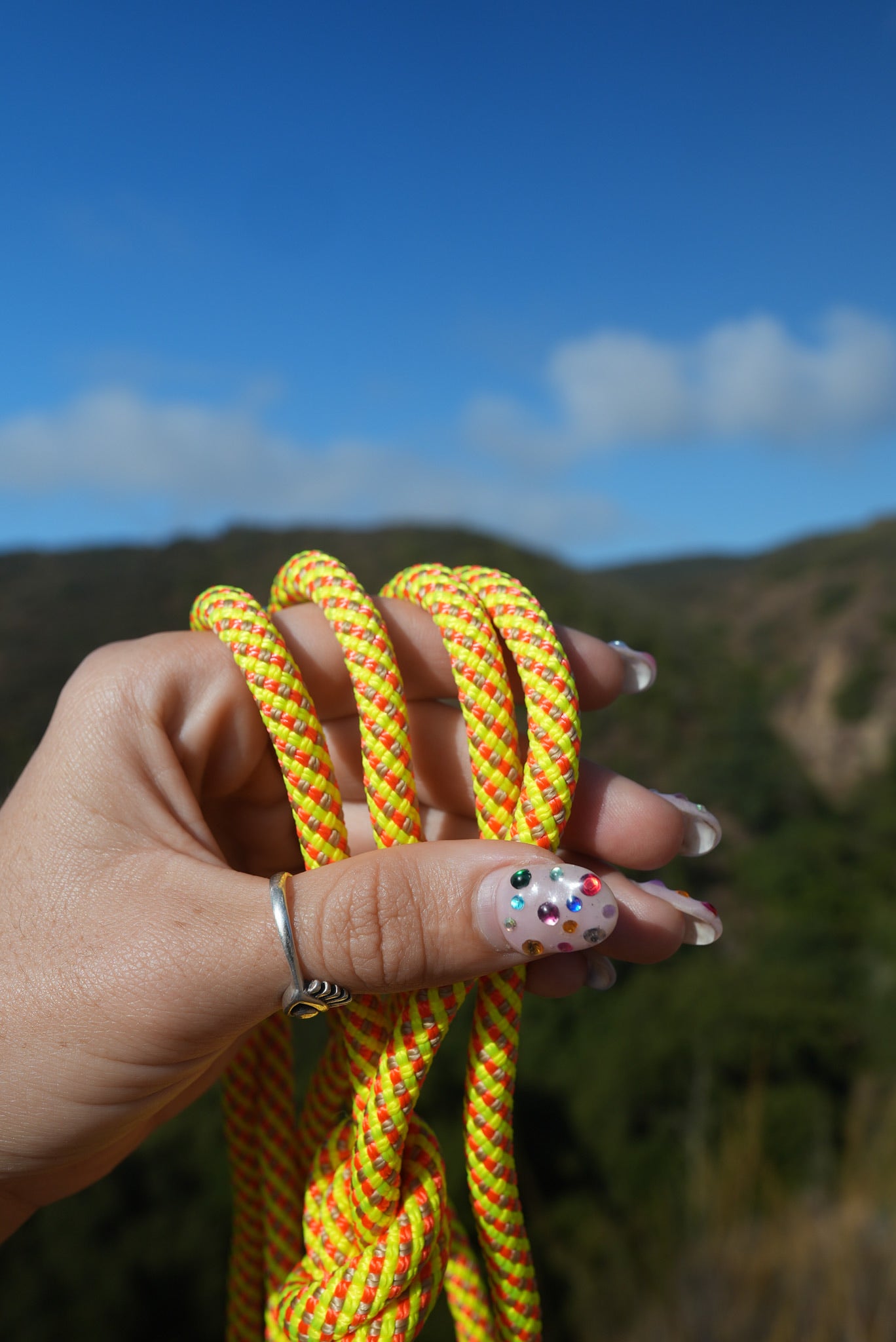 The Everyday Slip Lead 10 Foot