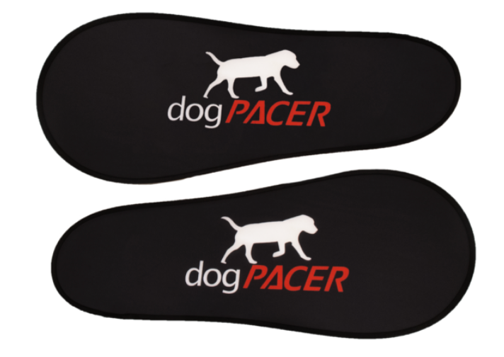 DogPacer 4.0 Bluetooth Edition
