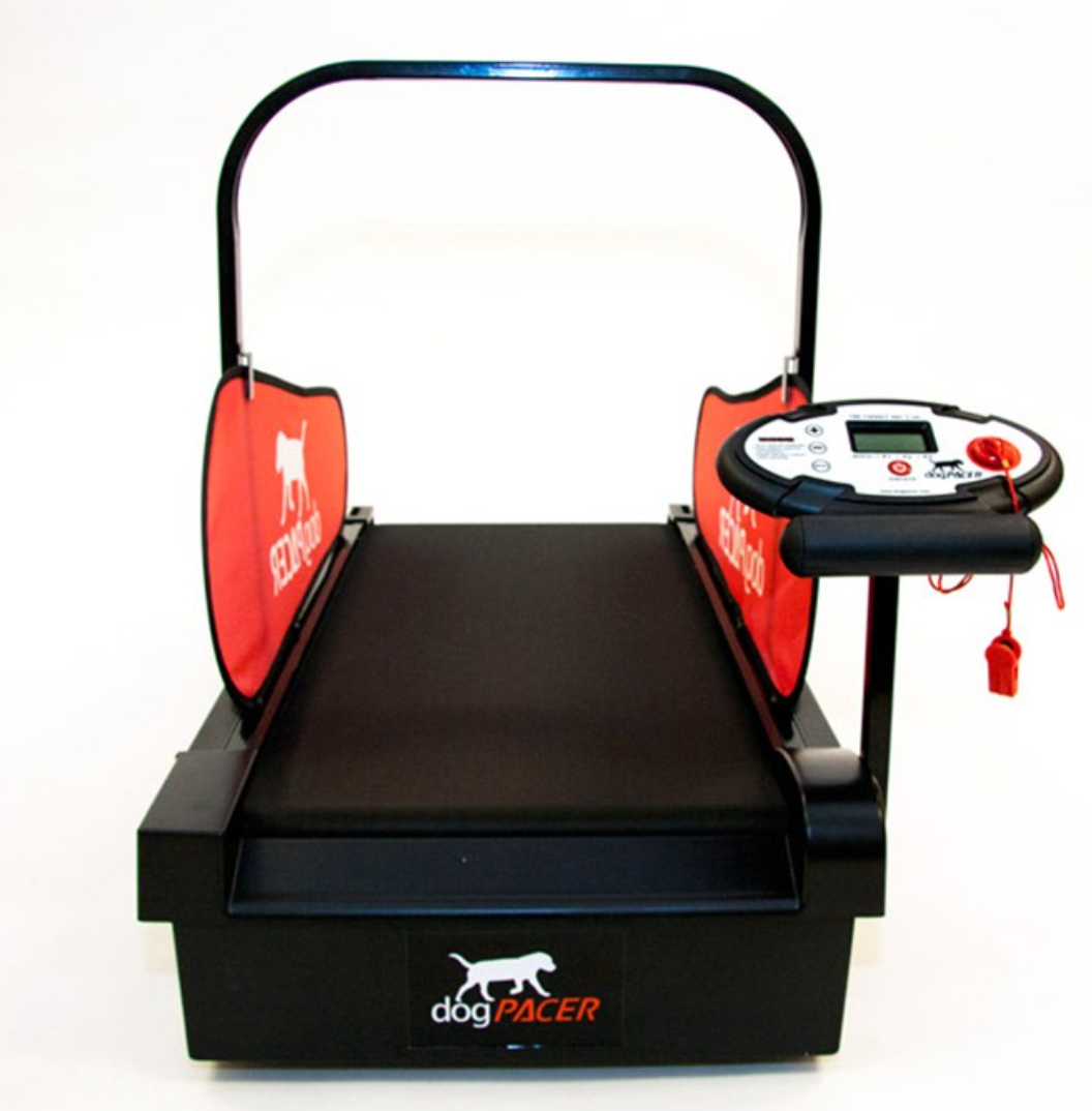 DogPACER Minipacer Treadmill