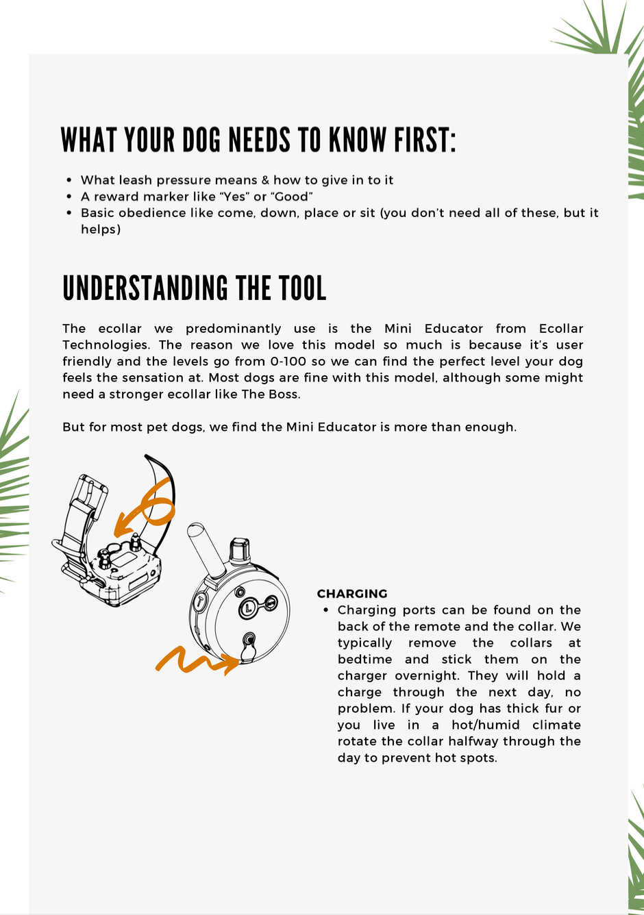 Ecollar Training Guide