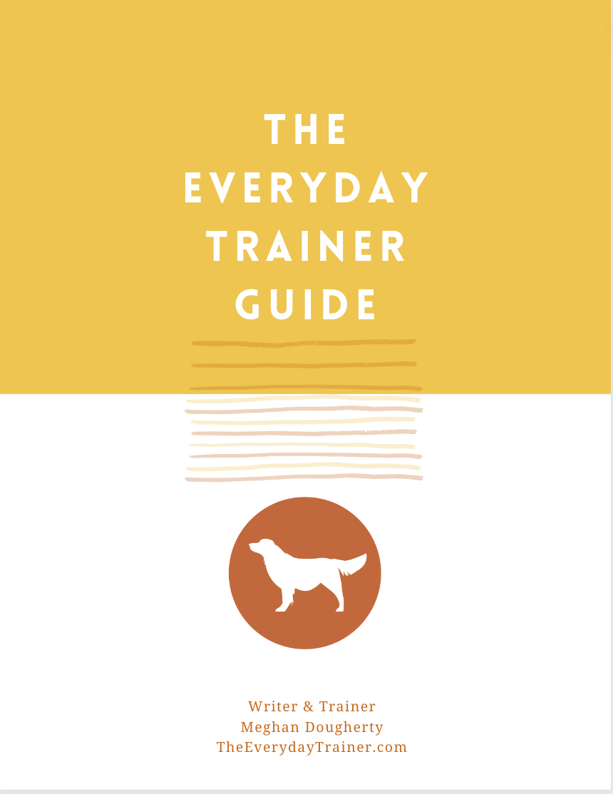 Training Guide